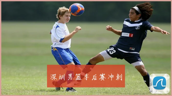 深圳男篮季后赛冲刺