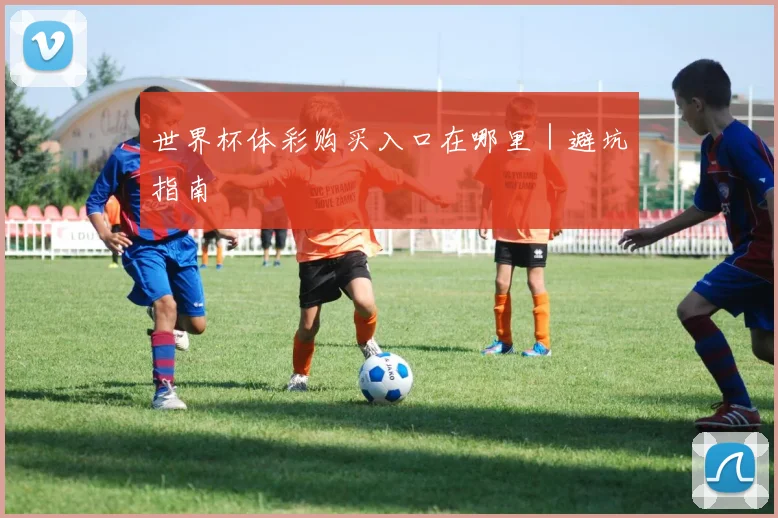 世界杯体彩购买入口在哪里｜避坑指南